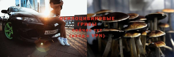 экстази Баксан