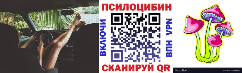 KRAKEN   Окуловка  Псилоцибиновые грибы мицелий 