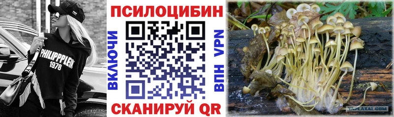 Галлюциногенные грибы MAGIC MUSHROOMS Окуловка